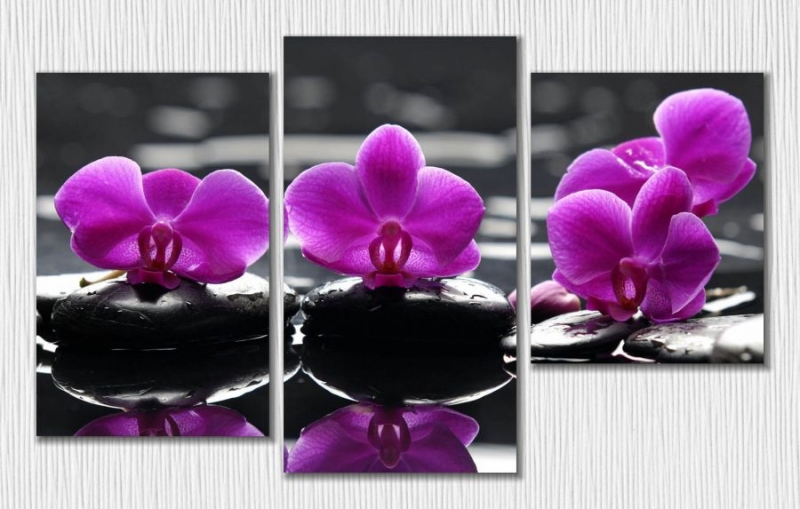 Арт. МК0173 "Три орхидеи"
