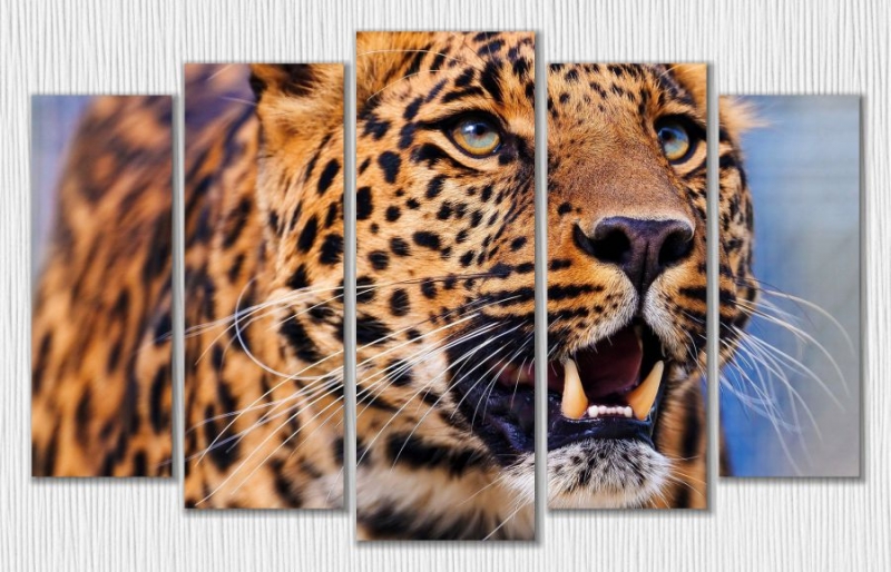 Арт. МК0196 "Леопард"